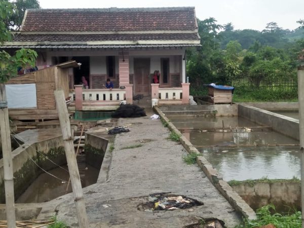 Rumah dan Kolam Ikan di Tenjolaya dekat Wisata Alam Bogor