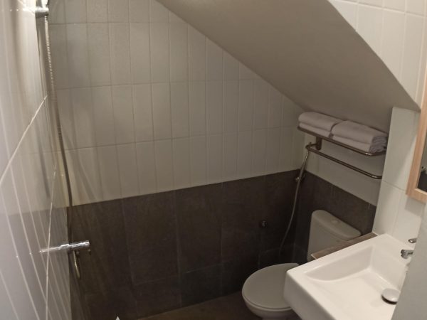 ara park pamulang sannprama