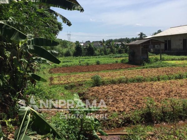 tanah dijual bojonggede sannprama
