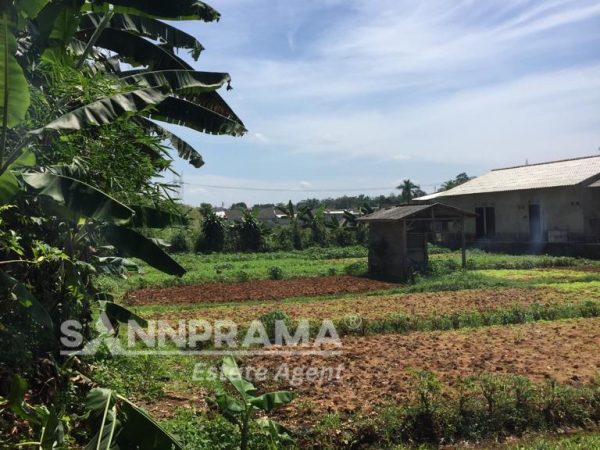 tanah dijual bojonggede sannprama