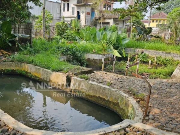 rumah kebun ciampea bogor