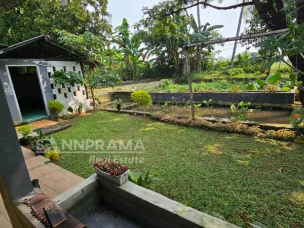 rumah kebun ciampea bogor