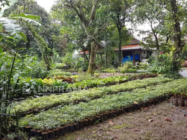 tanah dijual bojongsari