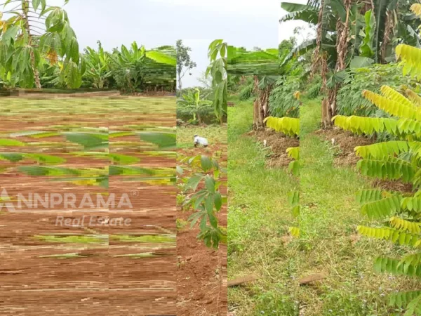 tanah dijual sawangan depok