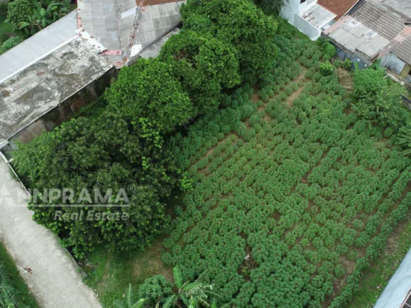 tanah dijual kayu manis bogor