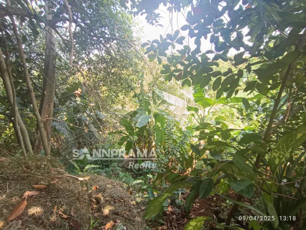 tanah dijual jagakarsa