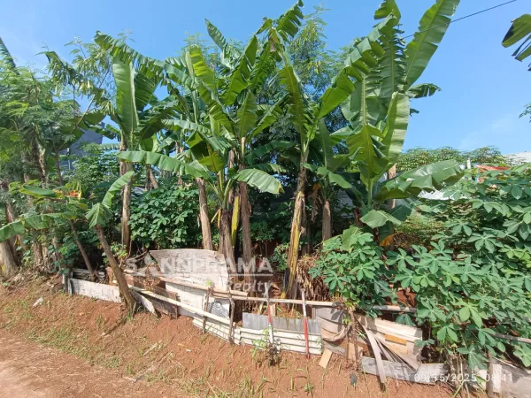 tanah dijual limo depok