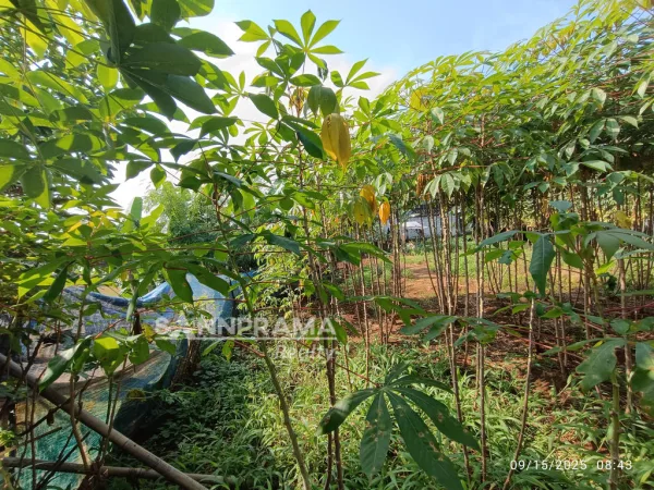 tanah dijual limo depok