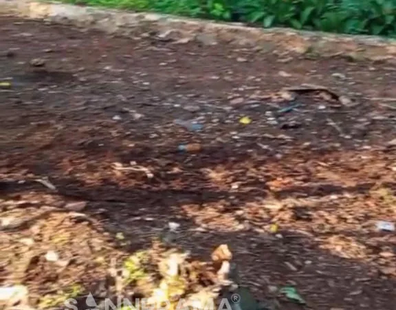 tanah dijual citayam sannprama