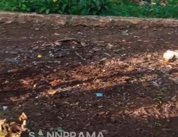 tanah dijual citayam sannprama