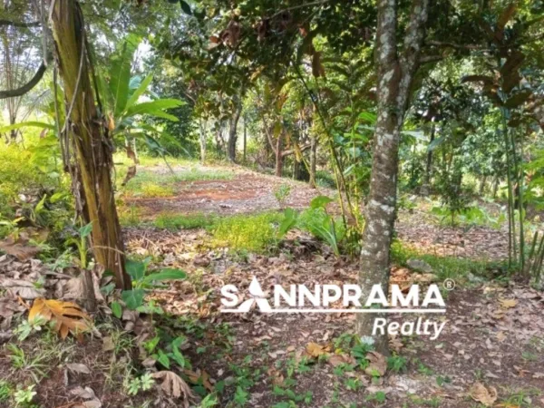 tanah dijual tajur halang