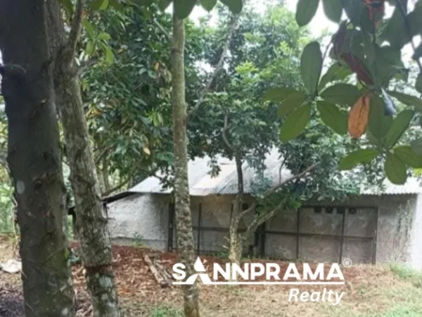 tanah dijual tajur halang