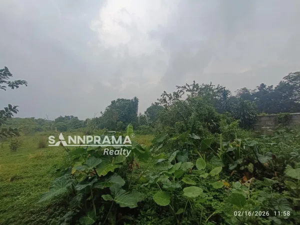 TANAH DIJUAL pasir putih sawangan