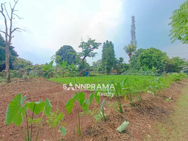 tanah shm pancoran mas depok