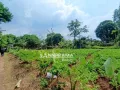 tanah shm pancoran mas depok
