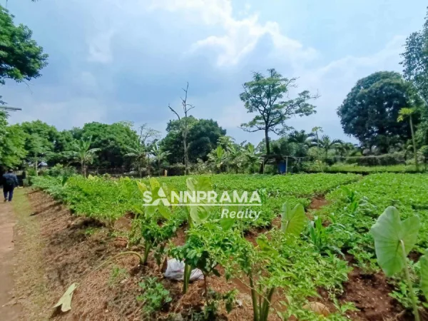 tanah shm pancoran mas depok