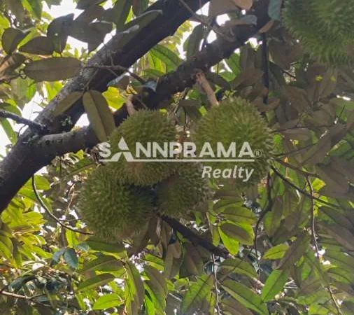 rumah dijual arco duren seribu depok