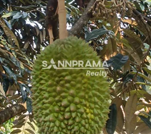 rumah dijual arco duren seribu depok